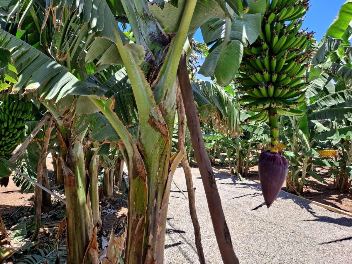 Rk Hacienda La Rekompensa Arucas Buitenkant foto