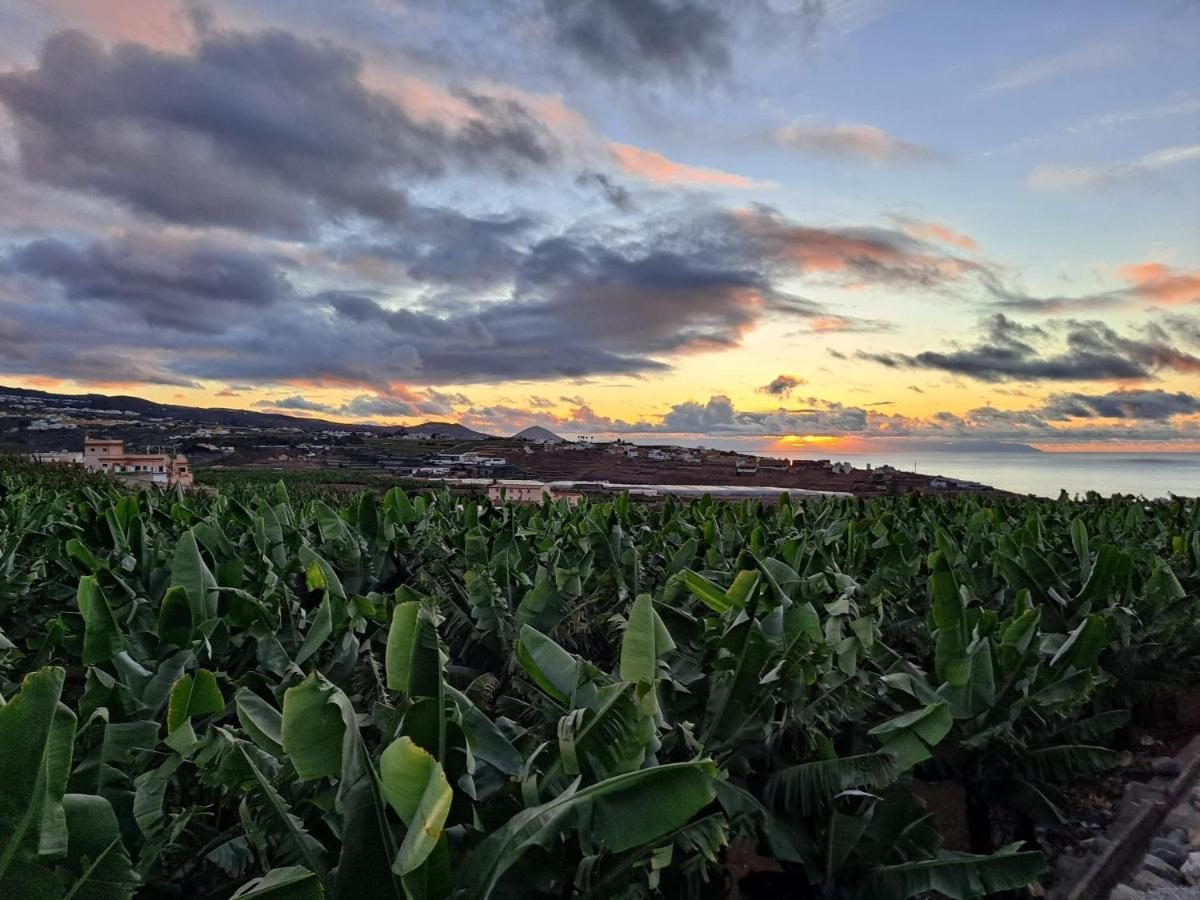 Rk Hacienda La Rekompensa Arucas Buitenkant foto
